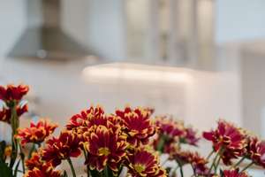 Property thumbnail 23