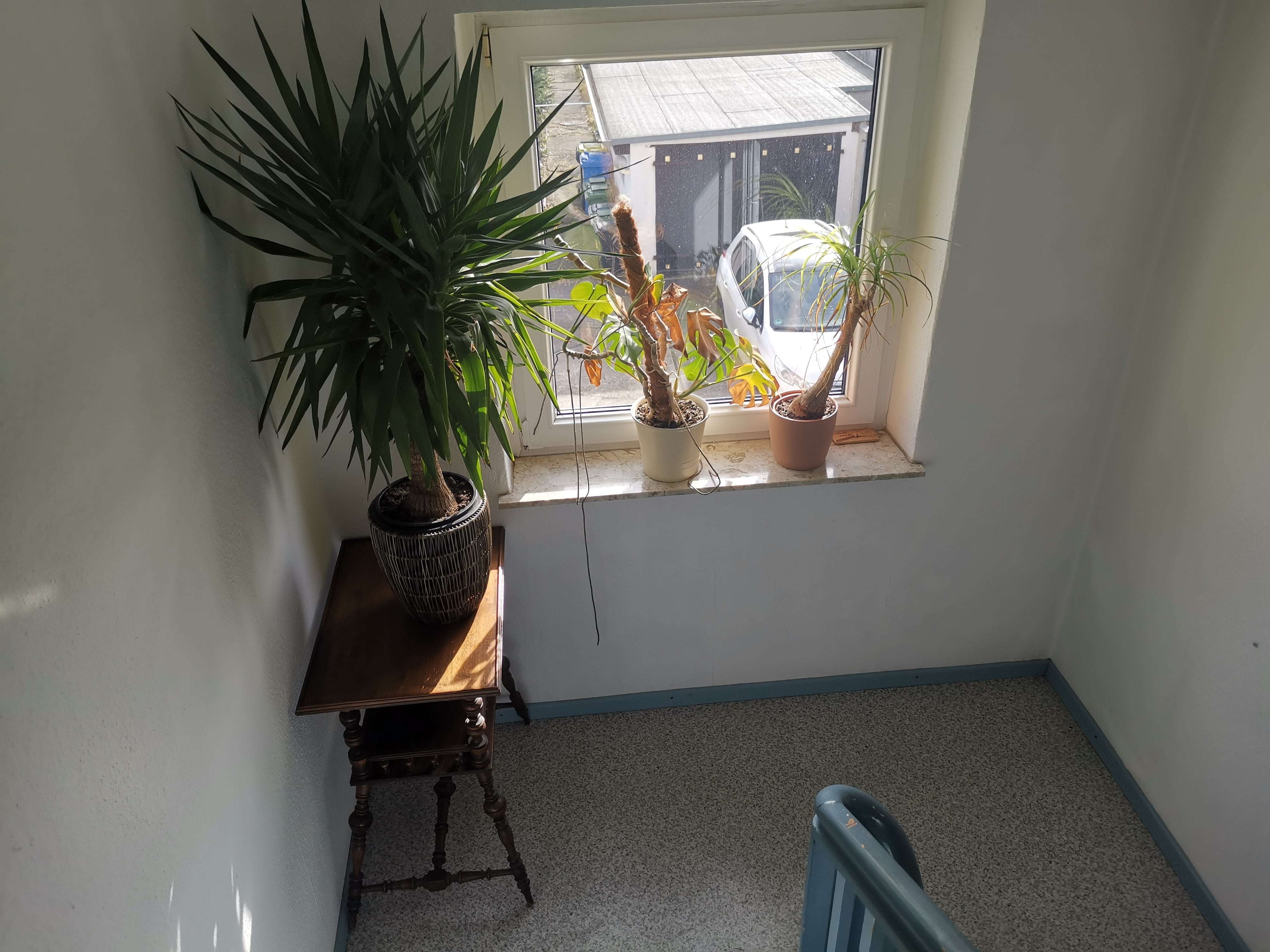 Immobilie in Dessau-Roßlau - Wunderschön, in bester ziebigker Lage - Bild 1