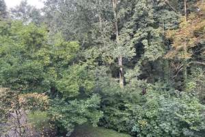 Ebenerdige Souterrain-Wohnung mit eigener Terrasse – Die vollständige Adresse der Immobilie erhältst du vom Anbieter., 51381 Quettingen, Leverkusen – Vorschaubild 6