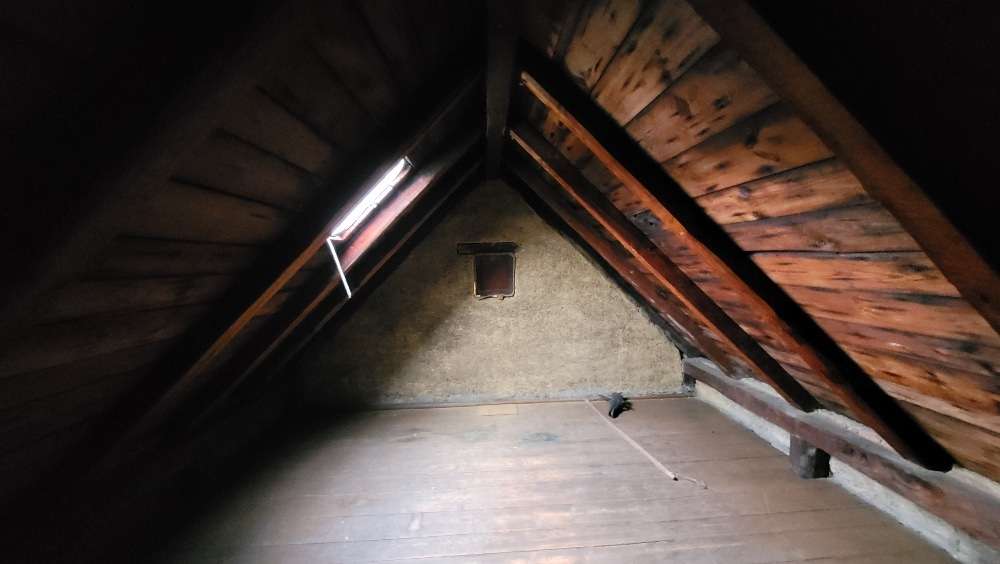 Immobilie in Reichenbach - Burgblick inklusive! - Bild 1