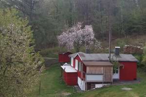 Preiswertes, gepflegtes 3-Zimmer-Einfamilienhaus mit EBK in Siegen Seelbach – Nelkenweg 30, 57072 Seelbach, Siegen – Vorschaubild 4