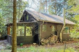 Draußen im Walde... idyllisch gelegenes Holzhaus auf 3.549 m² Waldgrundstück – Uelzen (Kreis) – Vorschaubild 2