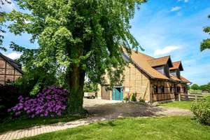 Traumhaftes Pferdeanwesen  mit stilvollem Wohnhaus u. Pferdestallungen auf  parkähnlichem Grundstück – Die vollständige Adresse der Immobilie erhältst du vom Anbieter., 38448 Velstove, Wolfsburg – Vorschaubild 4