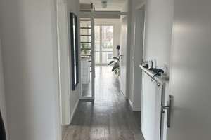 Property thumbnail 11