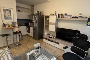 Möblierte 1,5-Zimmer-Wohnung in Mainz Neustadt – Rheinnähe, 3 m Deckenhöhe & Aufzug – Rheinallee 53, 55118 Neustadt, Mainz – Vorschaubild 2