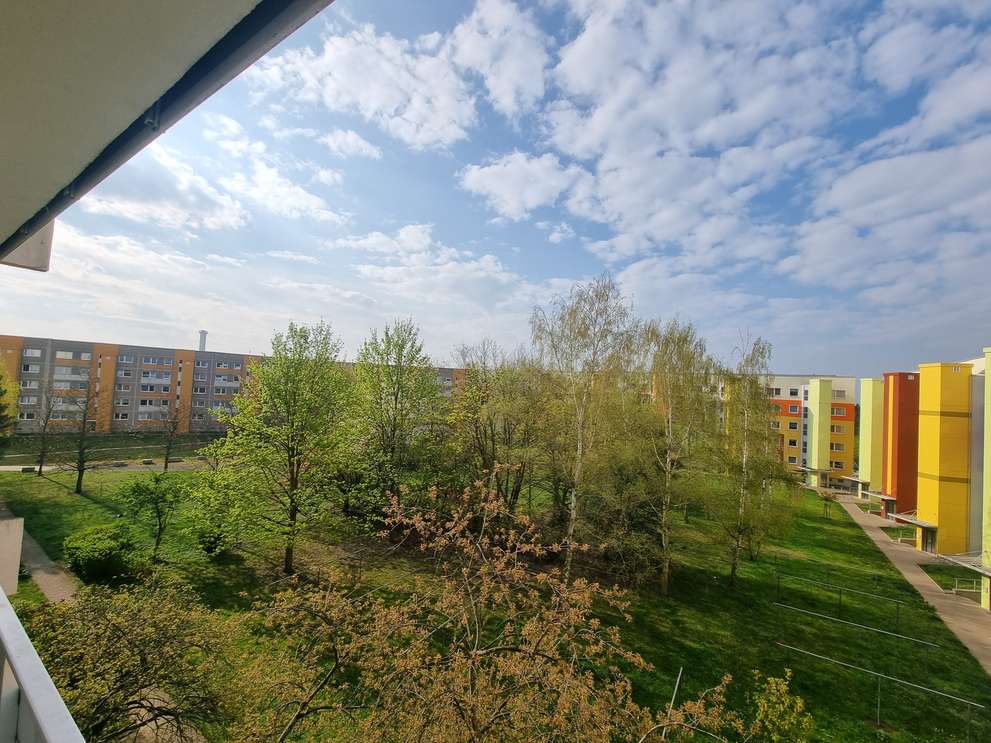 Ausblick