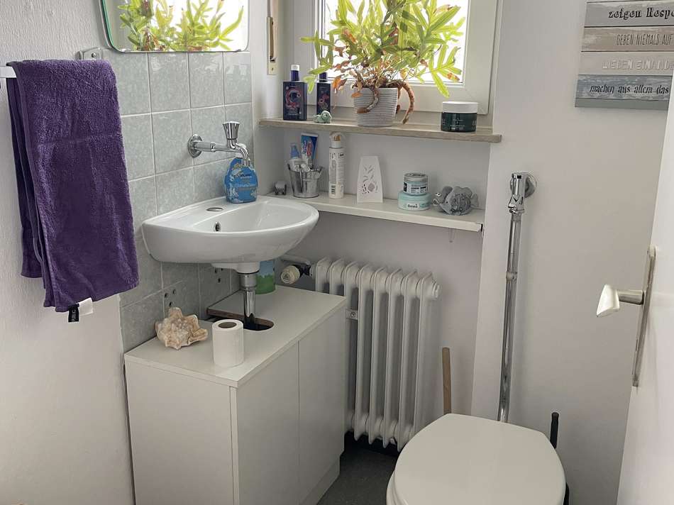 Gäste-WC EG