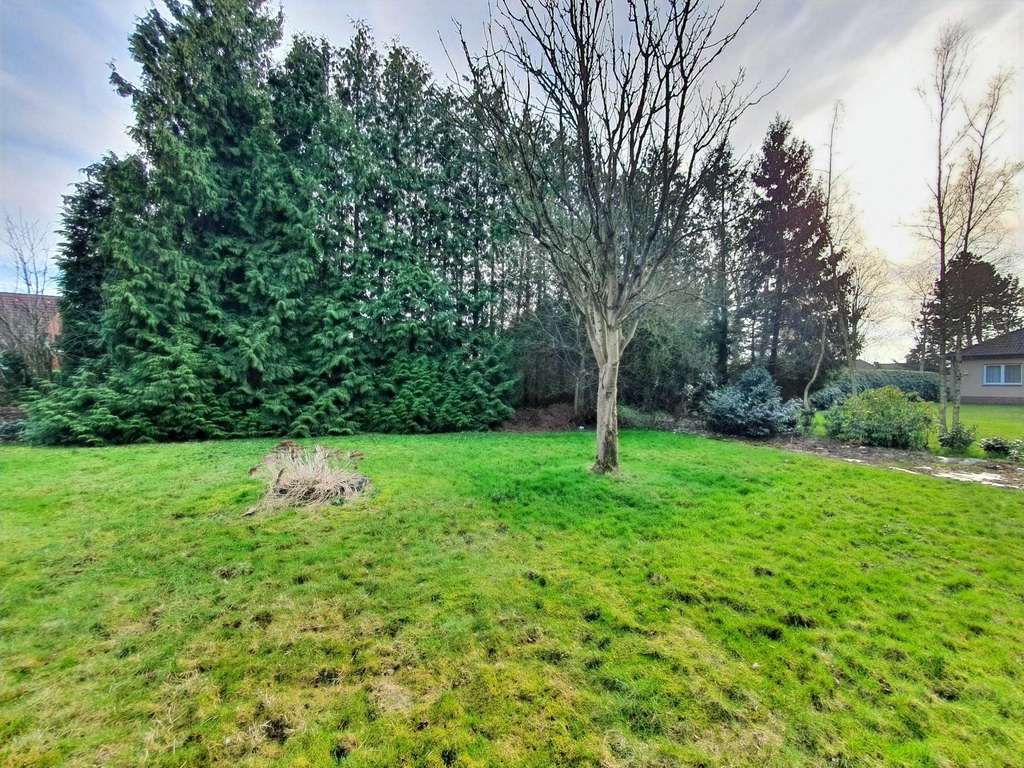 Immobilie in Wiesmoor - Vermietetes Zweifamilienhaus in zentraler Lage von Wiesmoor 
mit potentiellem Baugrundstück  - Bild 3