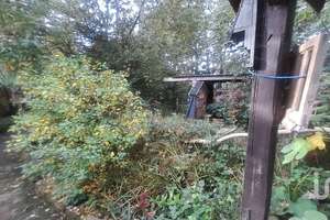 "Ein Landhaus mit Persönlichkeit – gemütlich, charmant und modernisiert, stilvoll ins Heute geführt" – Die vollständige Adresse der Immobilie erhältst du vom Anbieter., 26826 Weener – Vorschaubild 27