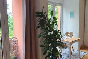 Perfekte 1-Zimmer-Wohnung mit Balkon in Haidhausen – Lucile-Grahn-Straße 24, 81675 München – Vorschaubild 8