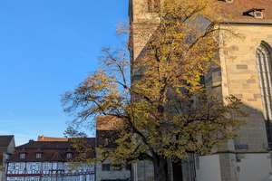 Großzügige Räume  / stilvolle Wohnung  in Fachwerkhaus am Marktplatz/auch als Praxis/Büro geeignet – Klosterstrasse 11, 74523 Schwäbisch Hall – Vorschaubild 3