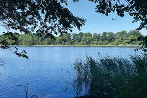 Ein neues Zuhause am Wardersee! – Segeberg (Kreis) – Vorschaubild 9