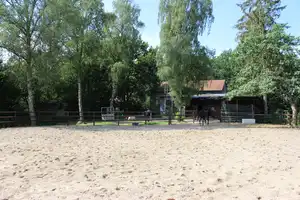 Ein Domizil in ruhiger Lage mit 3 Wohneinheiten, Pferdestall, Werkstatt und Padock – Segeberg (Kreis) – Vorschaubild 16