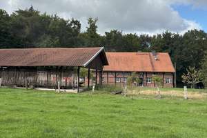 Traumhaftes Fachwerkhaus mit umfangreichen Nebengebäuden – Im Zitter 7, 46286 Dorsten – Vorschaubild 3