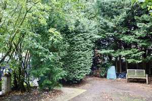 Ihr neues Zuhause in Pesch! Großzügiger Bungalow mit viel Potential! ELW möglich! – Köln – Vorschaubild 19