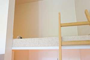 Für Studierende & Azubis-Apartment mit Hochbett in direkter Uninähe – August- Bebel- Str. 17, 1219 Strehlen, Dresden – Vorschaubild 7