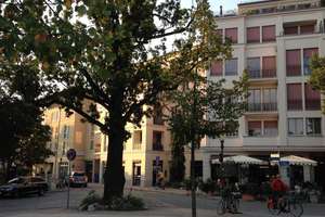 Wohnen mit Freiraum: 4 Zimmer & 2 Balkone am Luisenplatz – Luisenplatz 3  C, 14471 Brandenburger Vorstadt, Potsdam – Vorschaubild 14