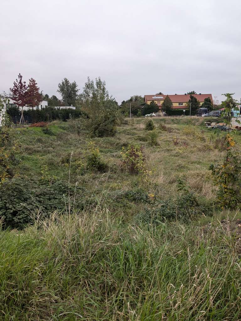 Naturnahes Grundstück in einem Neubaugebiet Worms-Weinsheim Seenähe....