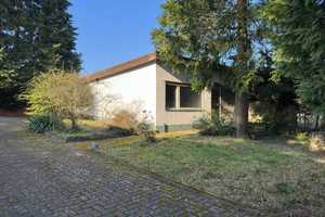 Einzigartiges Grundstück ... Einfamilienhaus mit Hallen auf einem parkähnlichem Grundstück – Miltenberg (Kreis) – Vorschaubild 23