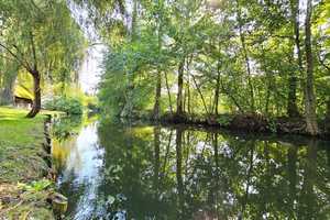 Idyllisches Juwel direkt am Hauptfließ! – Spree-Neiße (Kreis) – Vorschaubild 2