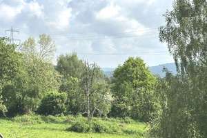 WOHNGLÜCK MIT BLICK INS GRÜNE! SCHÖNE 3 ZI-WOHNG. M. BALKON – Burger Landstr. 111, 42659 Burg/Höhscheid, Solingen – Vorschaubild 8