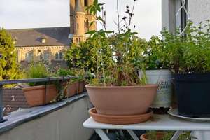 4-Zimmer-Wohnung mit Balkon in Köln-Niehl