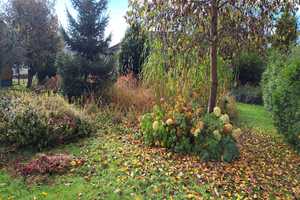 Familienfreundliches Massivhaus mit großem Garten und nachhaltiger Ausstattung in ruhiger Lage – Rottweil (Kreis) – Vorschaubild 8