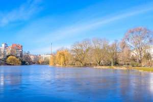 Property thumbnail 11