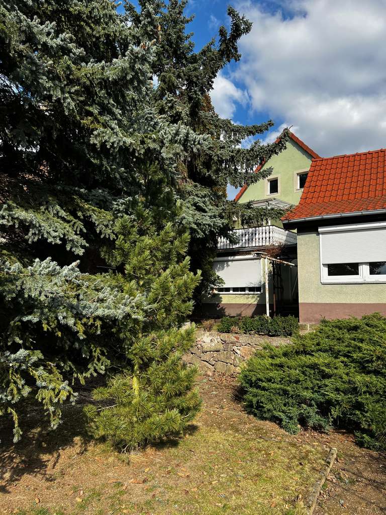 Immobilie in Coswig - EFH mit Blick ins Grüne und separatem Office oder Ferienwohnung - Bild 0