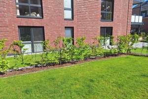 reserviert - 3 Zi-EG-Wohnung mit riesiger Süd-West-Terrasse im Hanseviertel von Lüneburg – Die vollständige Adresse der Immobilie erhältst du vom Anbieter., 21337 Neu-Hagen, Lüneburg – Vorschaubild 5