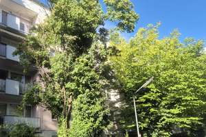 Helle 2-Zimmer Wohnung in München-Schwabing – Virchowstr 18, 80805 Münchner Freiheit, München – Vorschaubild 6