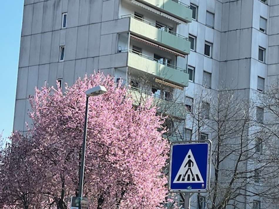 sehr schöner Garten am Haus