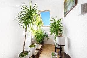 Freistehendes Einfamilienhaus mit Terrasse und Garten in Rudow, Berlin – Die vollständige Adresse der Immobilie erhältst du vom Anbieter., 12357 Rudow, Berlin – Vorschaubild 21