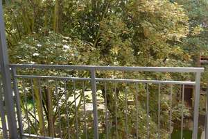 Vermietete 2-Zimmerwohnung mit Balkon im exklusiven Waldstraßenviertel! – Fregestraße  6, 4105 Zentrum-Nordwest, Leipzig – Vorschaubild 3