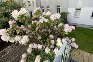 Property thumbnail 31