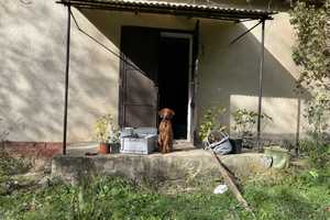 In Ungarn! Weinberg mit Haus in Ungarn, Nähe Balaton – Petöfi Sandor utca 1, 8734 Berlin – Vorschaubild 5