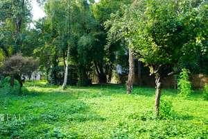 Mehr Villa als Haus, mehr Park als Garten - FALC Immobilien Heilbronn – Wilhelmstraße 23, 74072 Heilbronn, Heilbronn – Vorschaubild 4