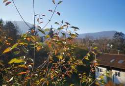 Blick nach Westen 