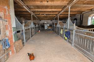 Reiterparadies nahe Weißenhäuser Strand – Pferdehof mit Weiden, Stallungen und PV-Anlage – Die vollständige Adresse der Immobilie erhältst du vom Anbieter., 23758 Wangels – Vorschaubild 9