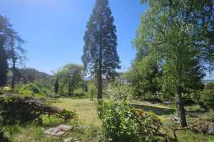 großzügige villa mit Panoramablick, swimmingpool, kamin und riesig garten – Auf Haderstichsborr 33, 55743 Birkenfeld (Kreis) – Vorschaubild 5