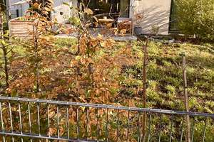 Moderne 2-Zimmer Wohnung mit schönem Garten, Nähe Rednitzgrund – 90763 Nördliche Südstadt, Fürth – Vorschaubild 19