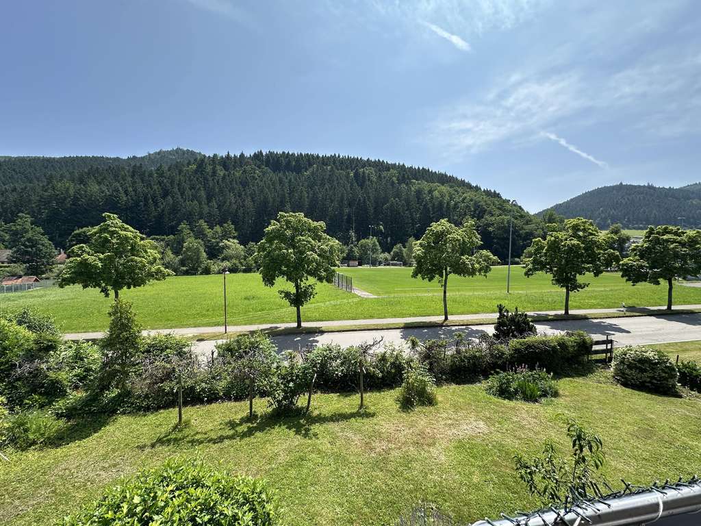 Immobilie in Hofstetten - Gepflegtes Mehrfamilienhaus in Hofstetten mit Garten, Terrasse, Balkon & Garagen, sowie Stellplätzen - Bild 4