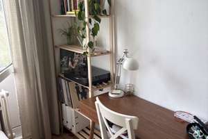 Süße Studentenwohnung im inneren Westen  – Herrichstraße 23, 93049 Westenviertel, Regensburg – Vorschaubild 4