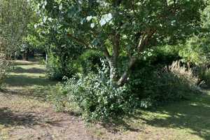 Gemütliche DHH in Eilsleben OT Wormsdorf – Börde (Kreis) – Vorschaubild 7