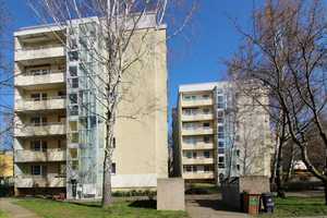 Freu Dich auf einen Frühling auf deinem Balkon! – Hans-Grade-Str. 1, 39130 Magdeburg – Vorschaubild 2