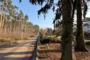 Freistehendes Einfamilienhaus mit großem Garten in ruhiger Lage – Berlin – Vorschaubild 11