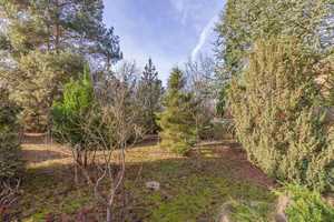 Einfamilienhaus zwischen Wald und Wasser – Potsdam-Mittelmark (Kreis) – Vorschaubild 19