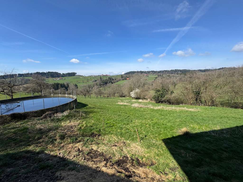 Immobilie in Bodnegg - Alleinlage pur: Hofstelle mit großem Potenzial und unverbaubarem Weitblick! - Bild 4