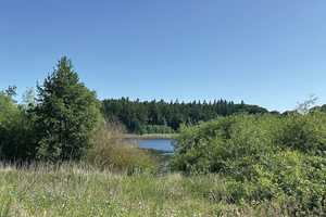 Ein neues Zuhause am Wardersee! – Segeberg (Kreis) – Vorschaubild 10