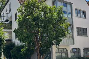 Zentrumsnahe Wohnung sucht neuen Mieter
